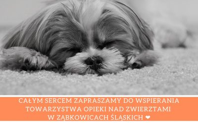 Zapraszamy i całym sercem wspieramy tą piękną akcję Towarzystwa  Opieki nad Zwierzętami ❤