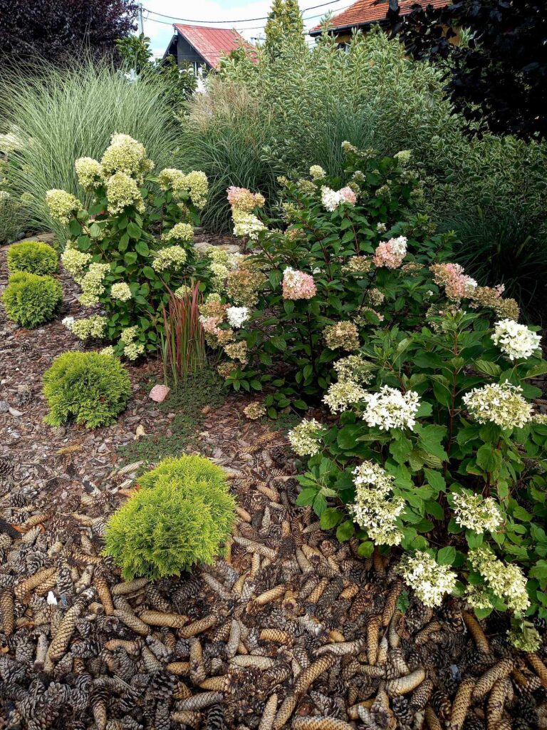 374562429_760554132747564_4688506443130199532_n