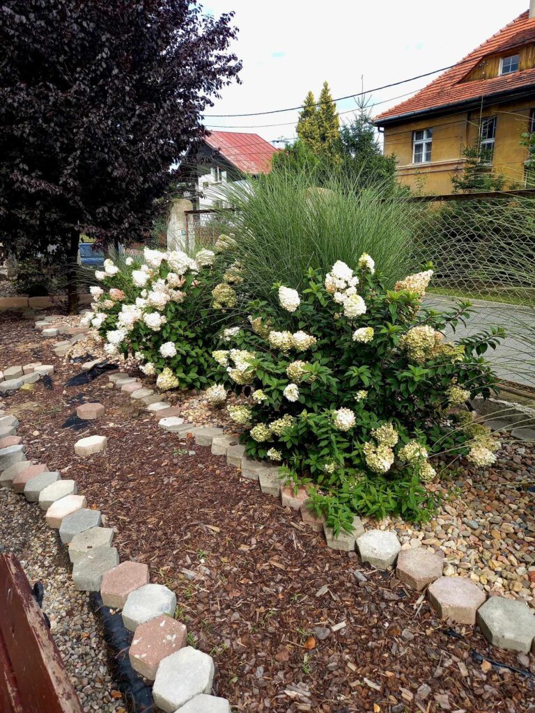 374648888_760554076080903_1636143543745012513_n