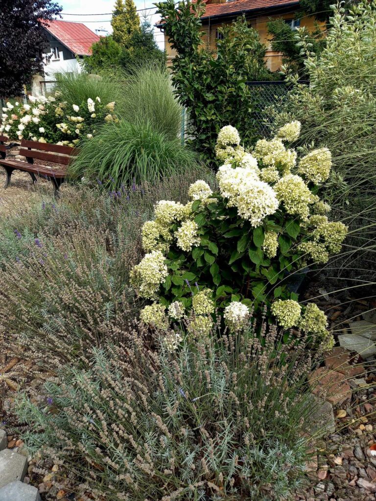 374651196_760554356080875_3939989670106304627_n