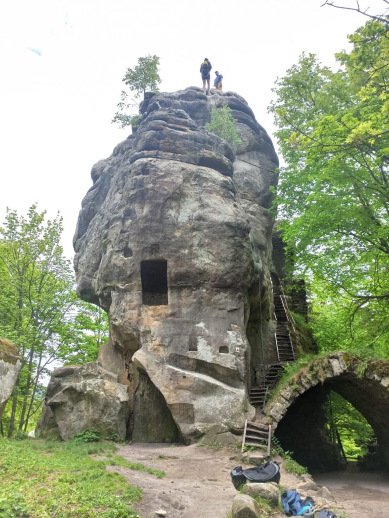 500797577_1221996793269960_5930194032344296595_n