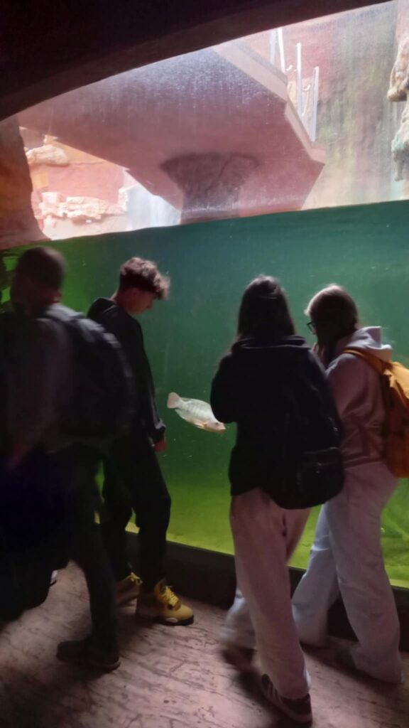 508236302_1241909041278735_3509377371070264474_n