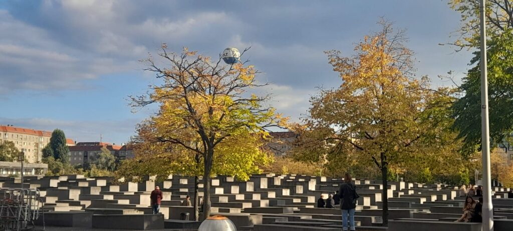 WhatsApp Image 2025-10-05 at 17.15.46 (4)