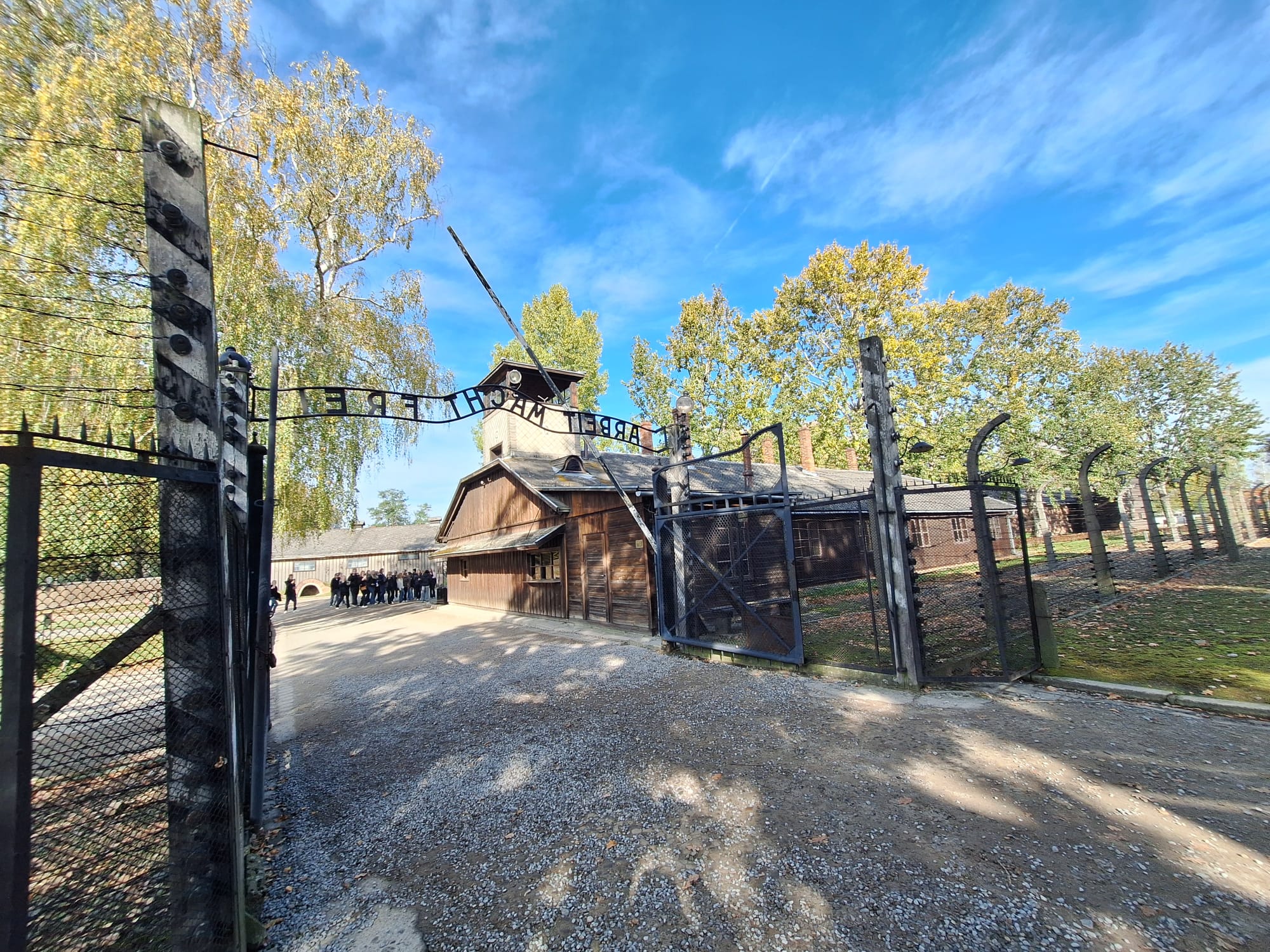 WhatsApp Image 2025-10-22 at 17.30.06 (1)