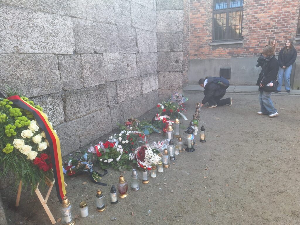 WhatsApp Image 2025-10-22 at 17.30.06 (3)