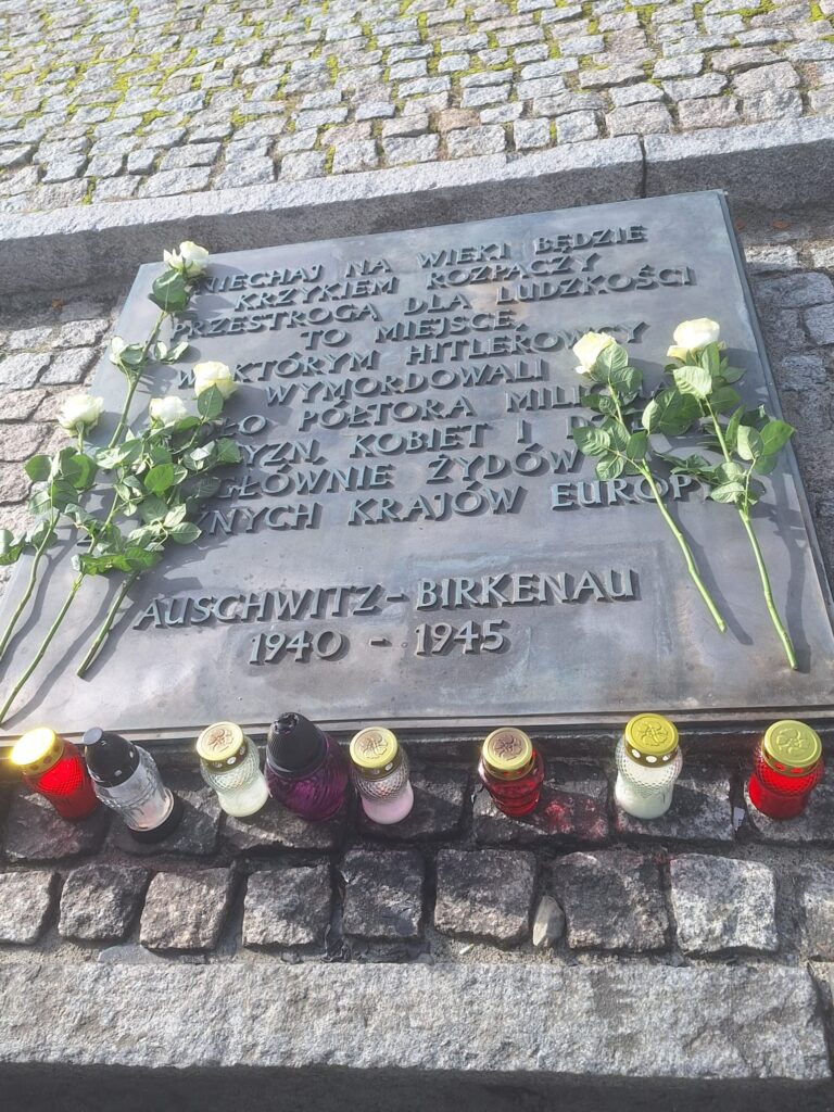 WhatsApp Image 2025-10-22 at 17.30.06 (4)