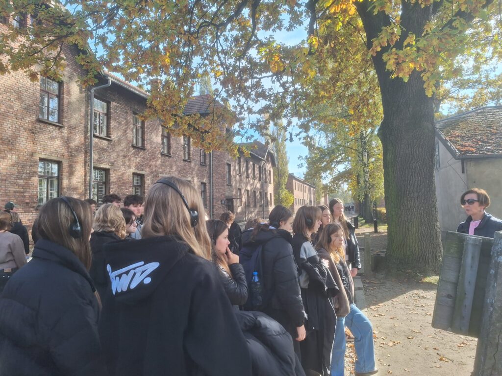 WhatsApp Image 2025-10-22 at 17.30.23 (1)