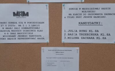 WYBORY UZUPEŁNIAJĄCE RADNEGO MŁODZIEŻOWEJ RADY MIEJSKIEJ ZĄBKOWIC ŚL. – październik 2025