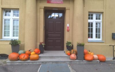 KONKURS NA NAJWIĘKSZĄ DYNIĘ – listopad 2025