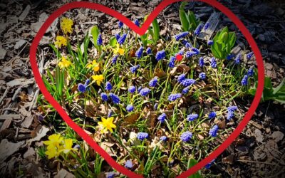 PODZIĘKOWANIA DLA WSZYSTKICH O WIELKICH SERCACH – kwiecień 2025